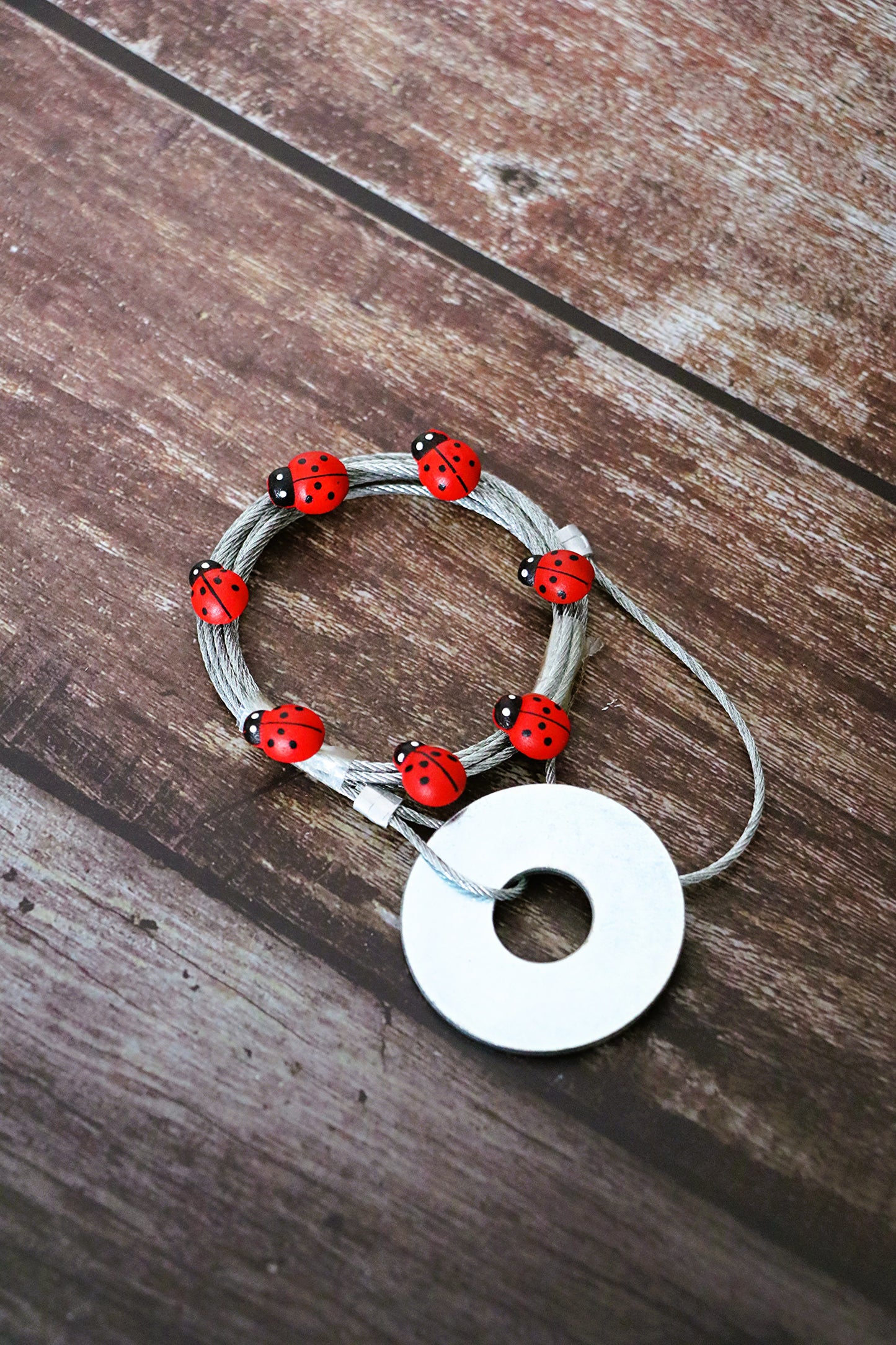 Fotoseilset mit Magneten (vertikal) - Marienkäfer